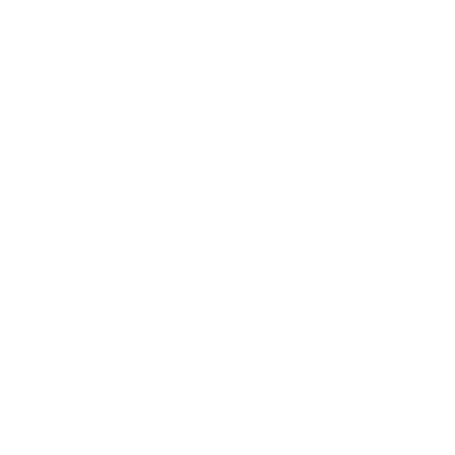 OPTION - Assistance & Surveillance